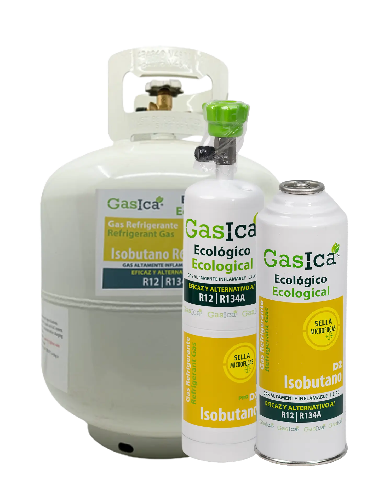 Formatos de GASICA D2